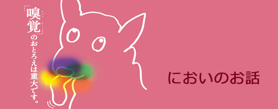 「嗅覚」のおとろえは重大です。